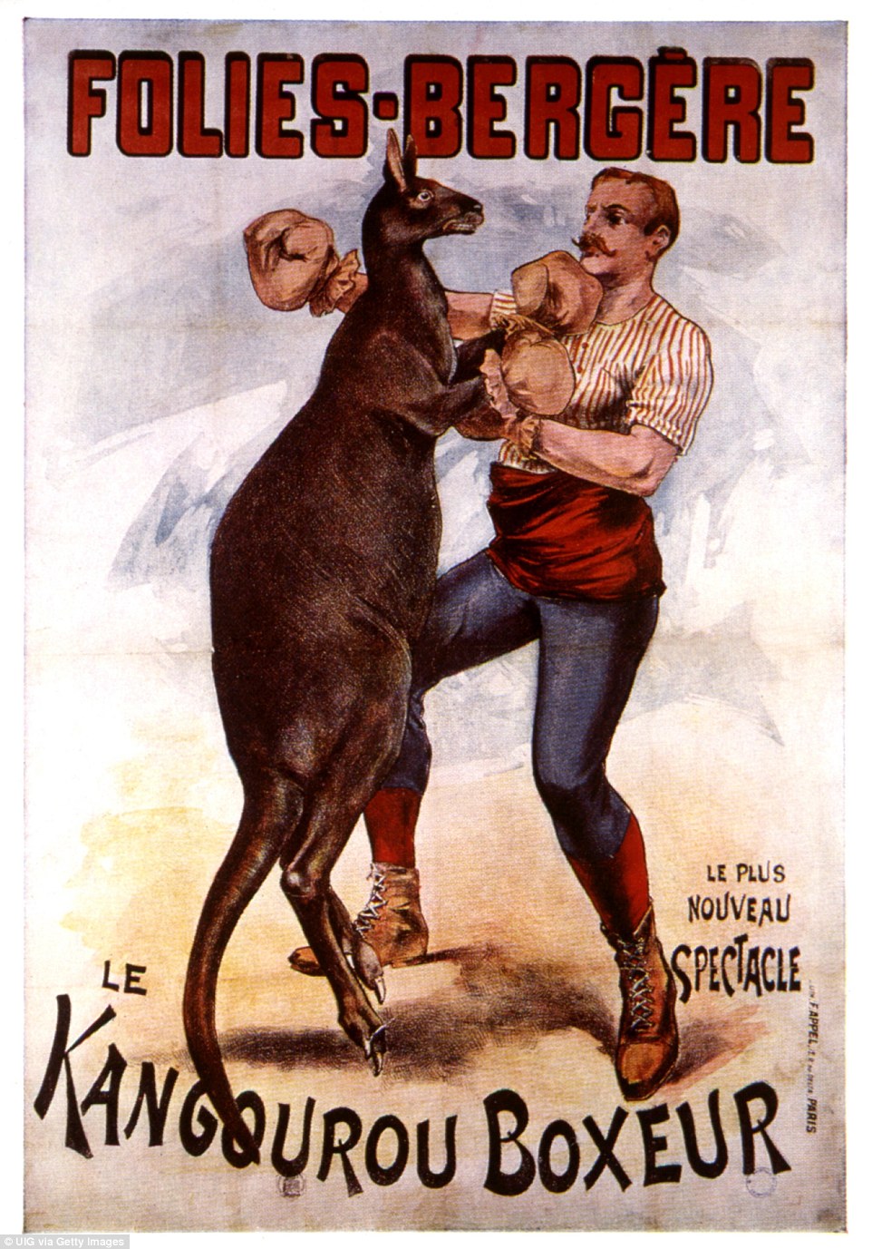 Бокс з кенгуру в фотографіях 20-го століття