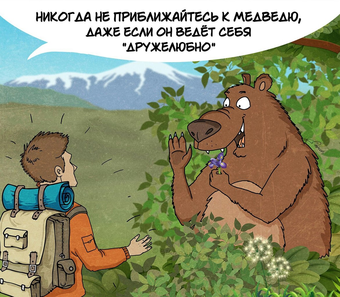 Московський художник намалював комікс про правила поведінки з ведмедями