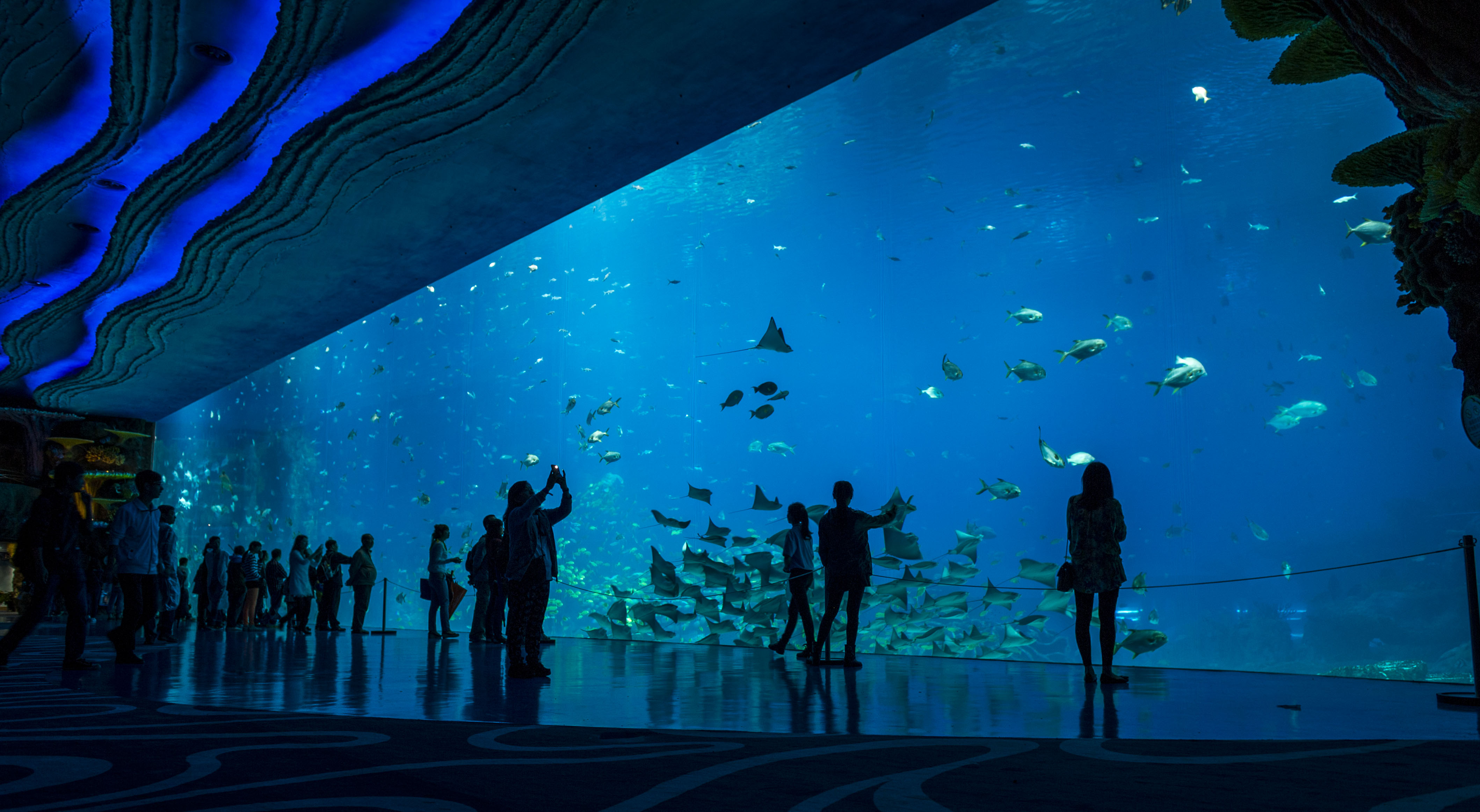 Самий великий акваріум