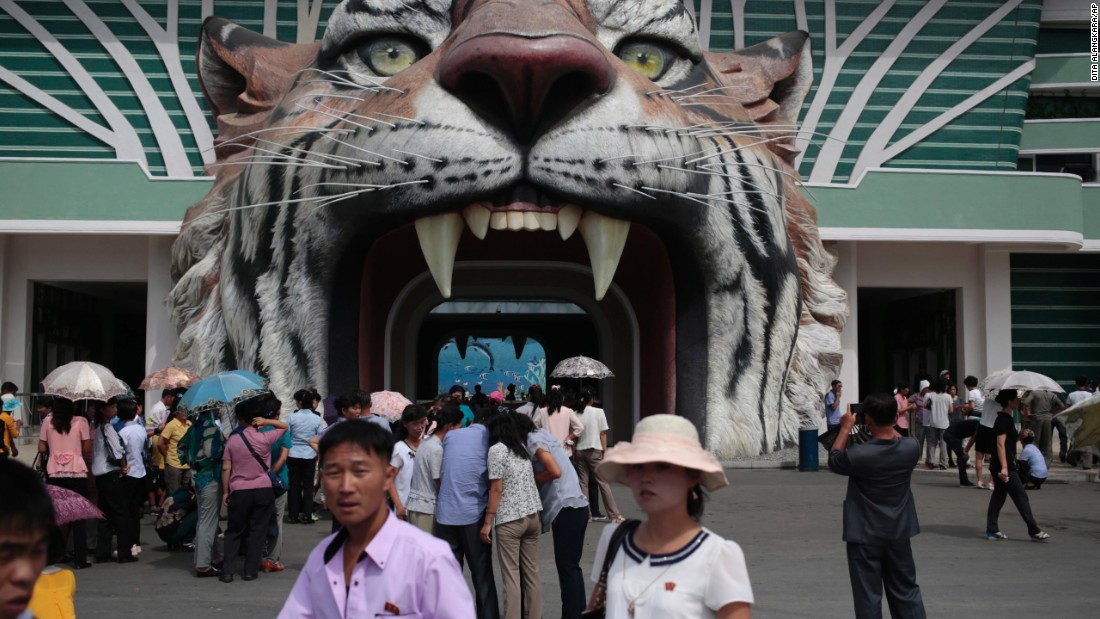 11 сенсаційних фото про те, як виглядає зоопарк в Північній Кореї