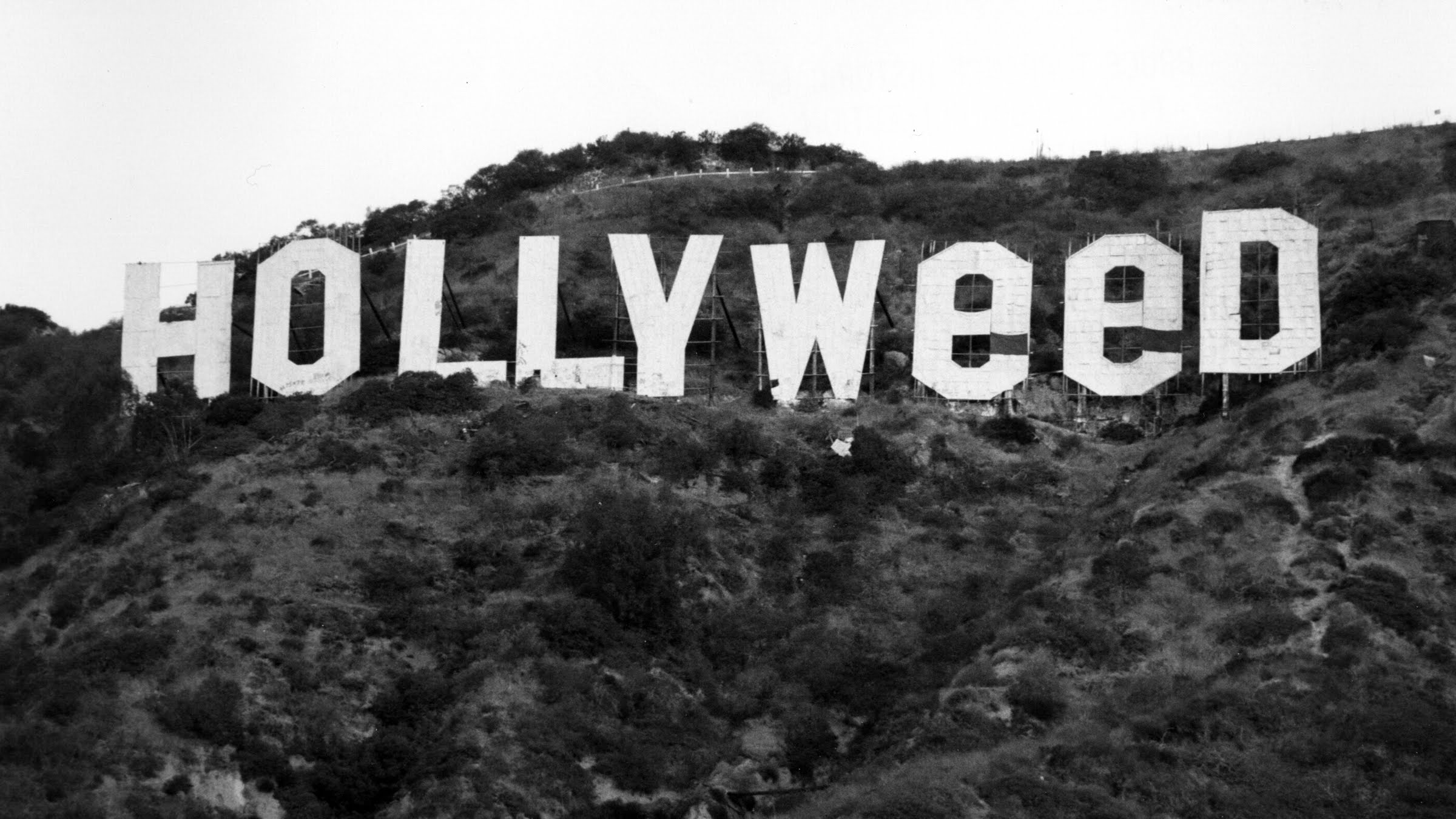 У новорічну ніч вандали змінили знаменитий напис Hollywood