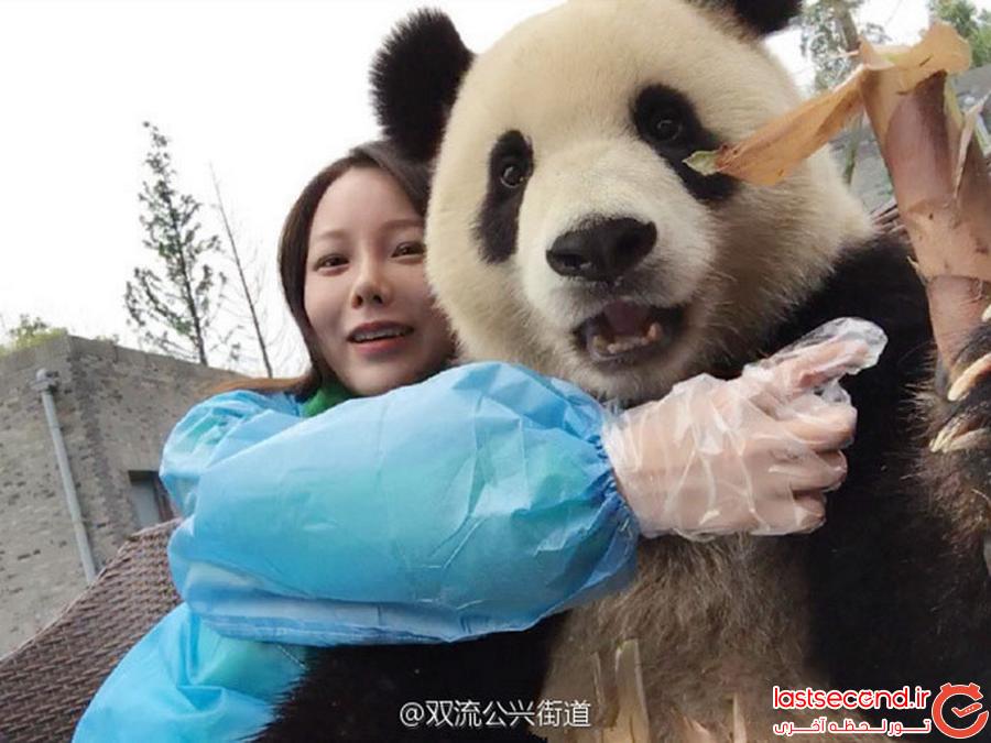 Ця гігантська панда — справжній гуру селфи. Вчись, як треба фотографувати себе!