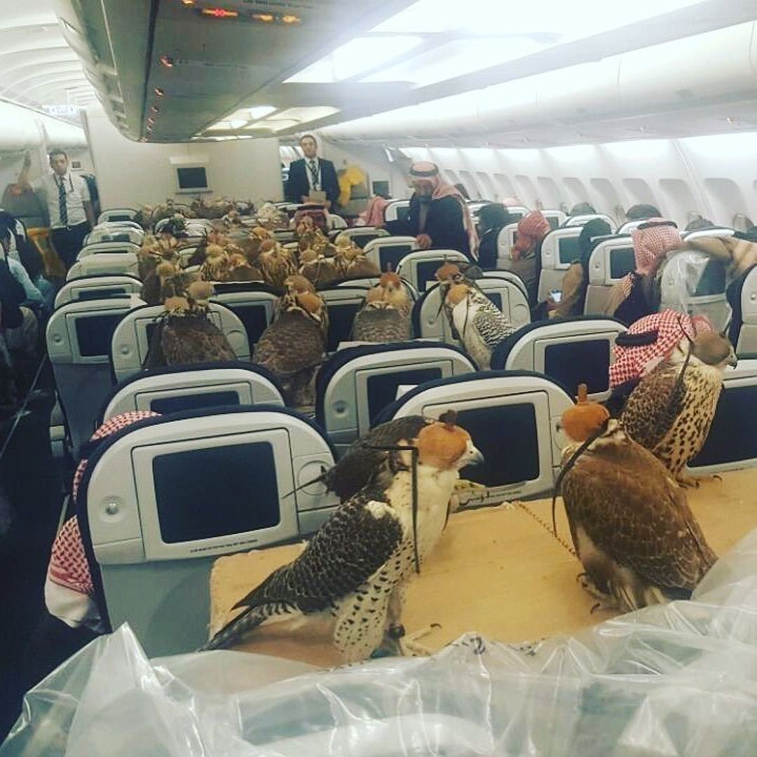 Ви офигеете: вгадайте, кому принц Саудівської Аравії купив місця в літаку???