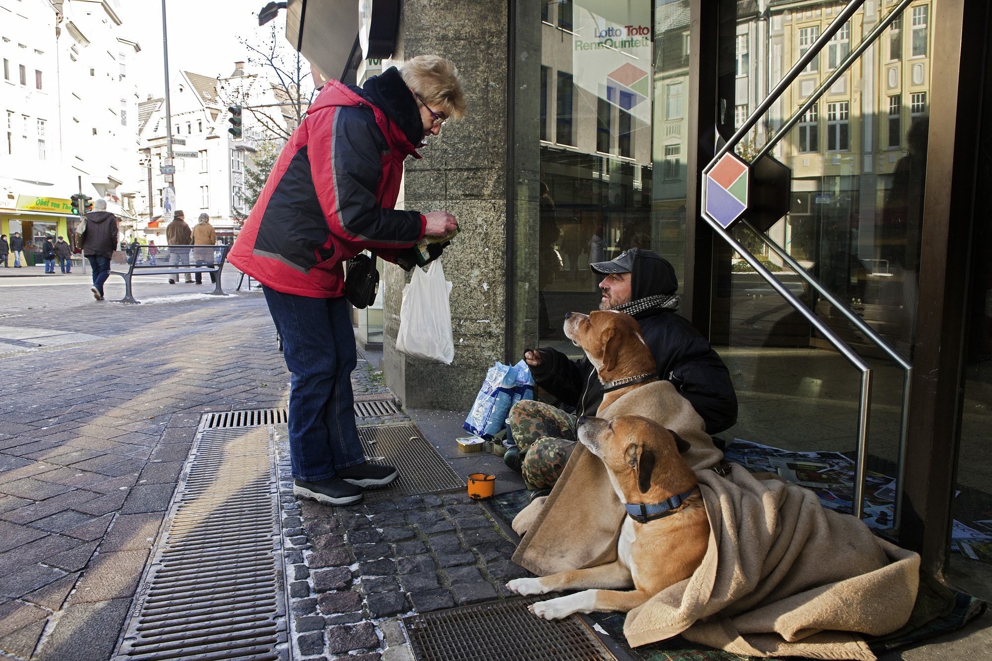 На улице жили щенки. Собака на улице. Бродячие собаки в Германии. Собаки на улицах Германии. Бездомные животные в Германии.