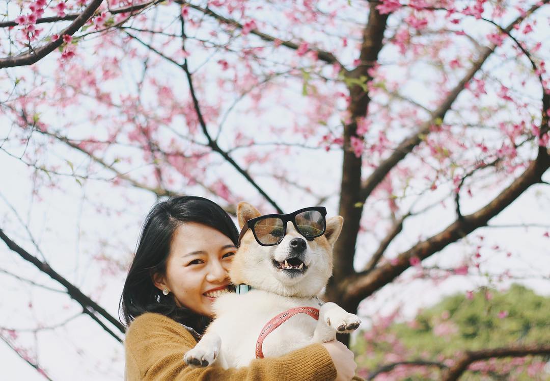 20 дивовижних фото з японського Инстаграма про те, що весна прийшла!