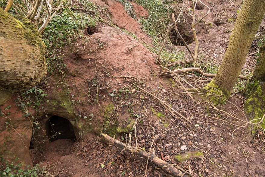Ця кроляча нора — вхід в секретну 700-річну мережу печер, побудованих тамплієрами!