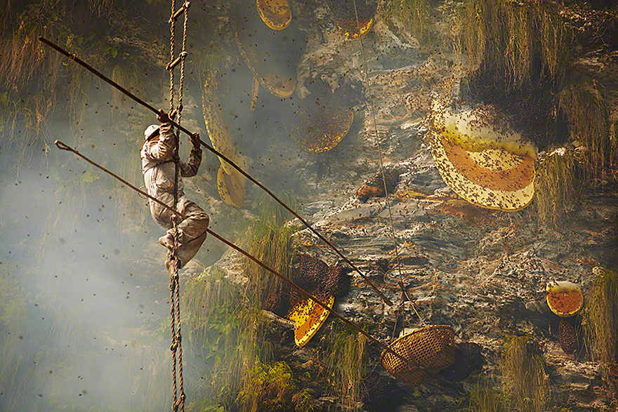 Відважні мисливці за диким медом в Непалі