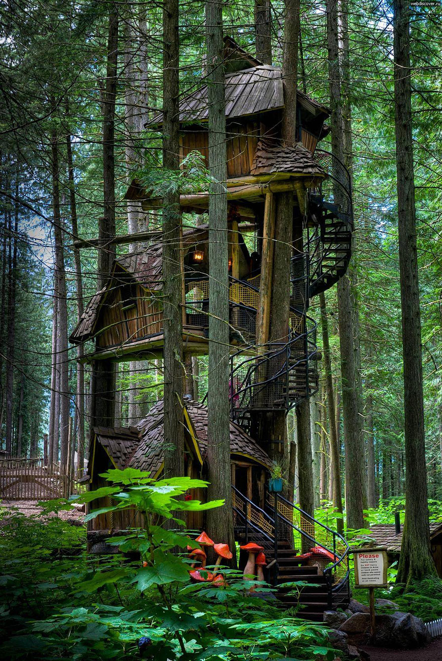 17 дивовижних будиночків на дереві з усіх куточків світу