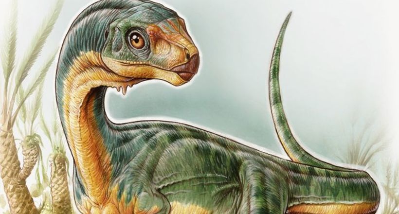 Звіроподібні динозаври: великі млекоподібні жертви